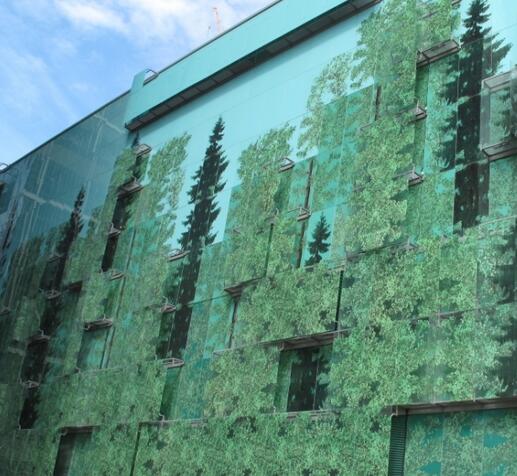 彩釉?shī)A膠玻璃